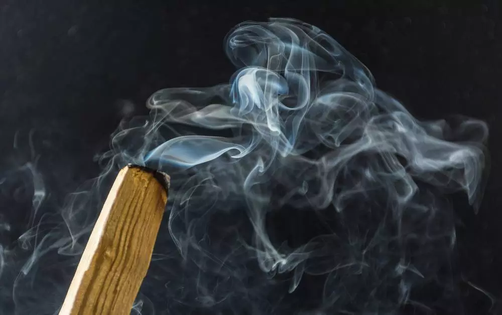 Photo d'une fumée de sauge blanche pour purifier une maison