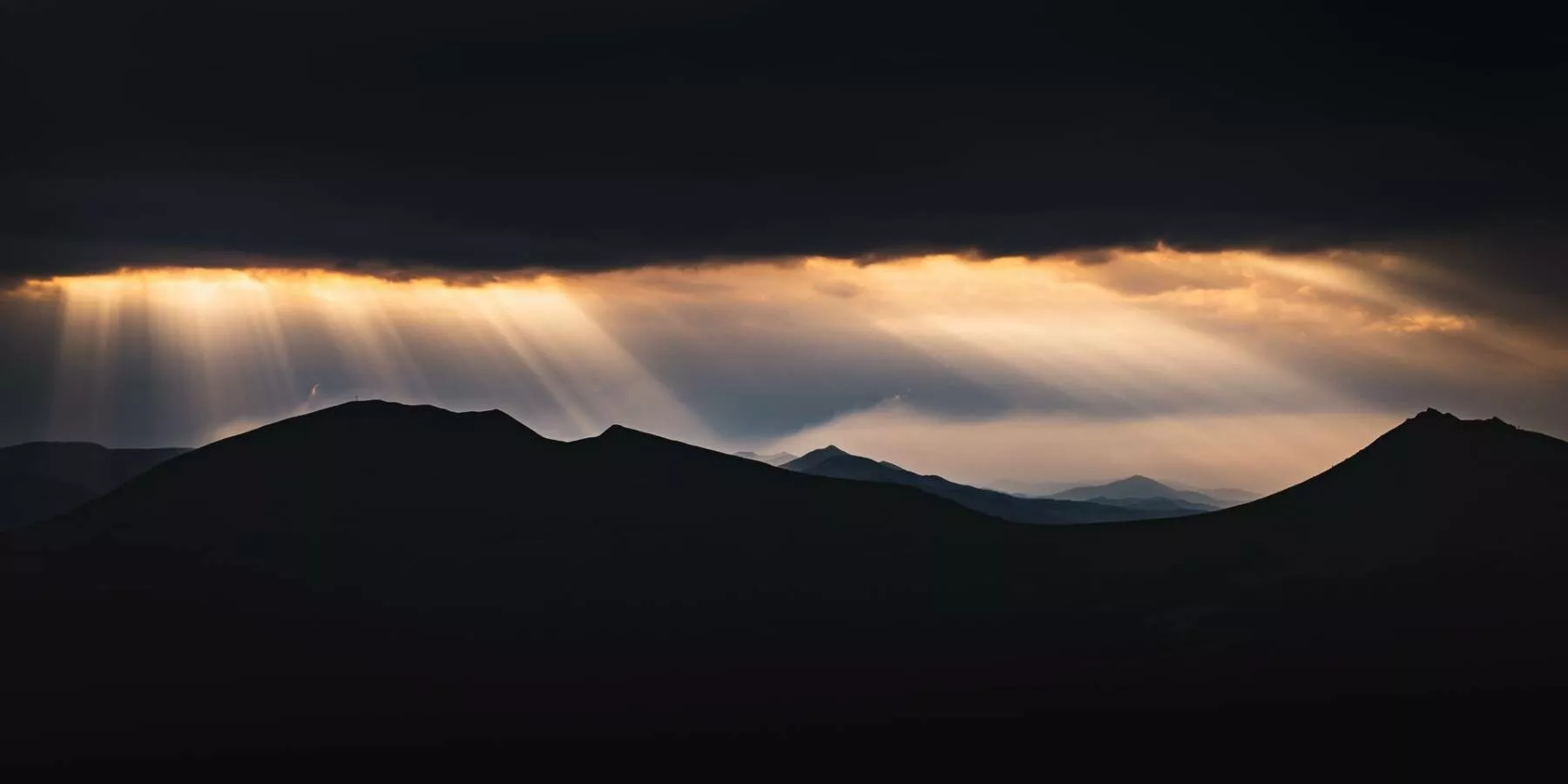 marek-piwnicki-w8tuuoWnEvU-unsplash marek-piwnicki-w8tuuoWnEvU-unsplash